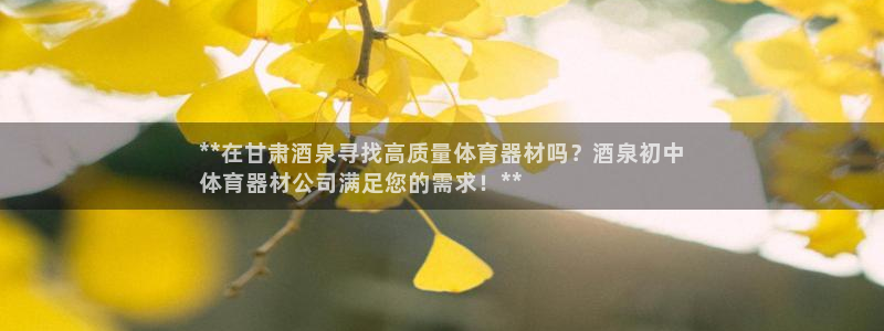 极悦平台注册流程图片：**在甘肃酒泉寻找高质量体育器