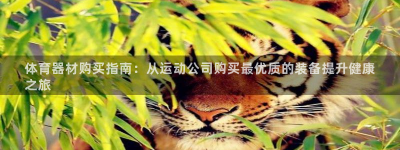 极悦平台代理怎么做赚钱