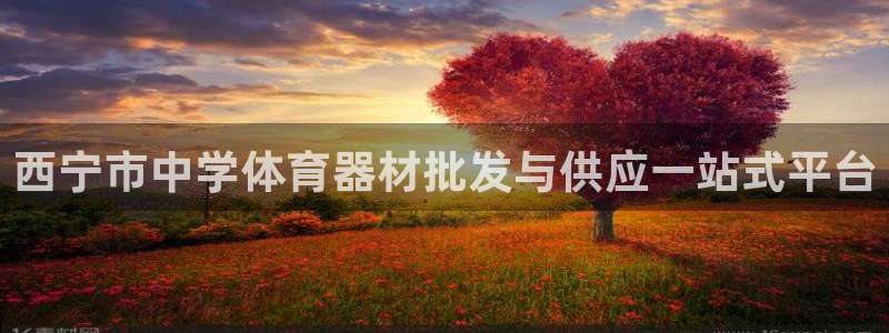 极悦娱乐官网入口下载