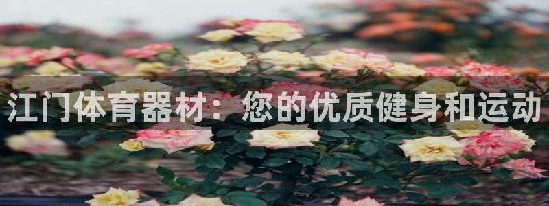极悦平台官方网站首页