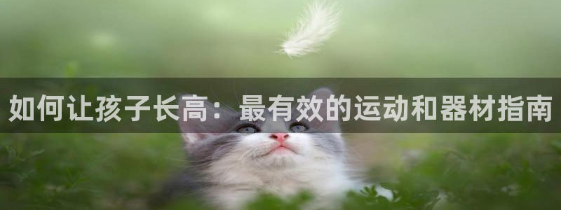 极悦娱乐官网客服联系方式是什么