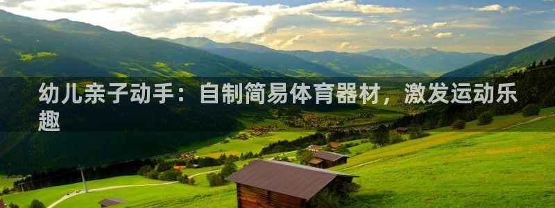 极悦平台注册用户名验证不了：幼儿亲子动手：自制简易体