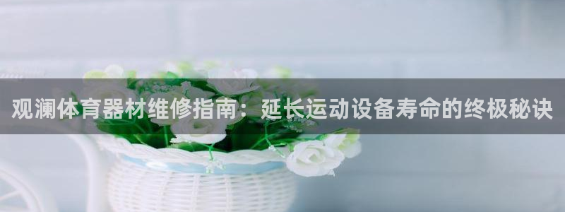 极悦平台用户反馈和反馈一样吗：观澜体育器材维修指南：