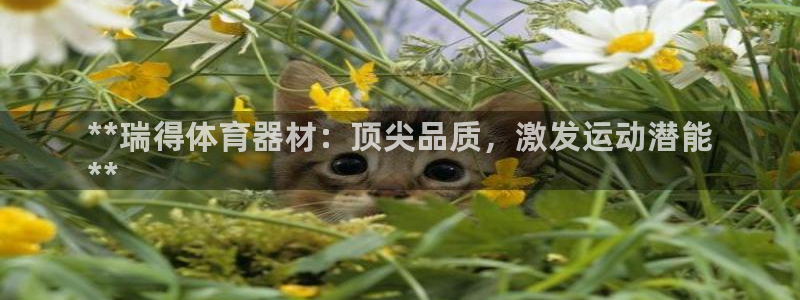 极悦平台官网登录入口网址：**瑞得体育器材：顶尖品质