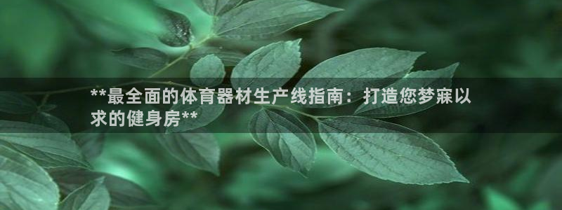 极悦平台用户评价怎么样：**最全面的体育器材生产线指