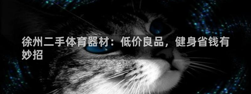 极悦平台和蓝狮平台区别是什么：徐州二手体育器材：低价