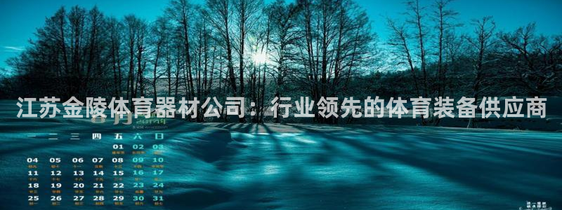 极悦娱乐的创始人背景故事：江苏金陵体育器材公司：行业