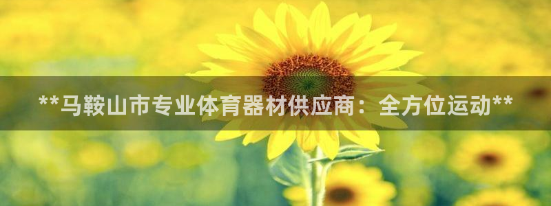 极悦平台是干什么的：**马鞍山市专业体育器材供应商：