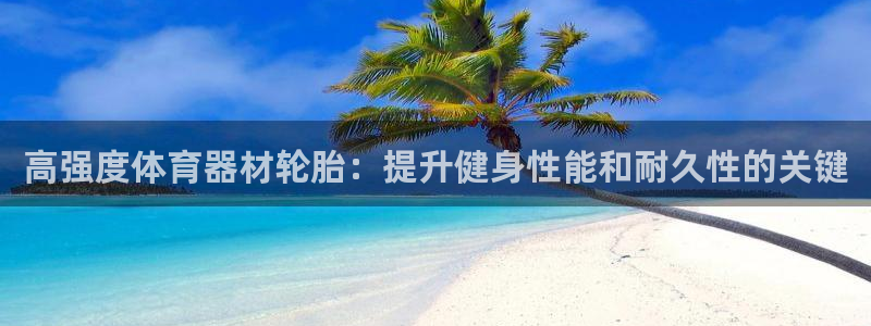 极悦平台app二维码怎么弄到桌面：高强度体育器材轮胎