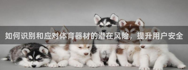 极悦平台注册用户名生成器下载：如何识别和应对体育器材