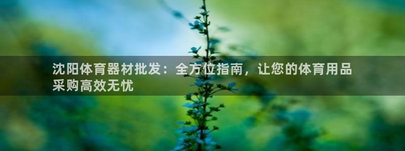 极悦平台保7O777：沈阳体育器材批发：全方位指南，