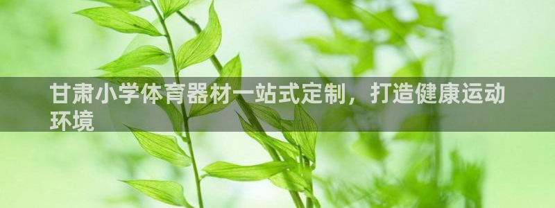 极悦官网注册最新版本更新内容：甘肃小学体育器材一站式