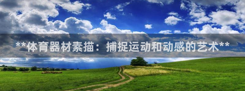 极悦平台官网入口：**体育器材素描：捕捉运动和动感的