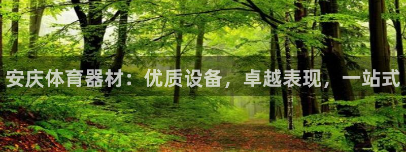极悦平台和蓝狮平台区别：安庆体育器材：优质设备，卓越
