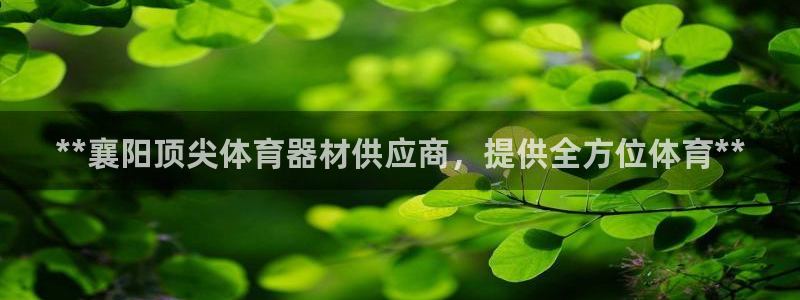 极悦娱乐股东名单：**襄阳顶尖体育器材供应商，提供全