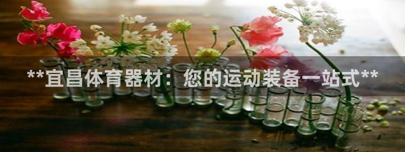 极悦平台和蓝狮平台区别：**宜昌体育器材：您的运动装