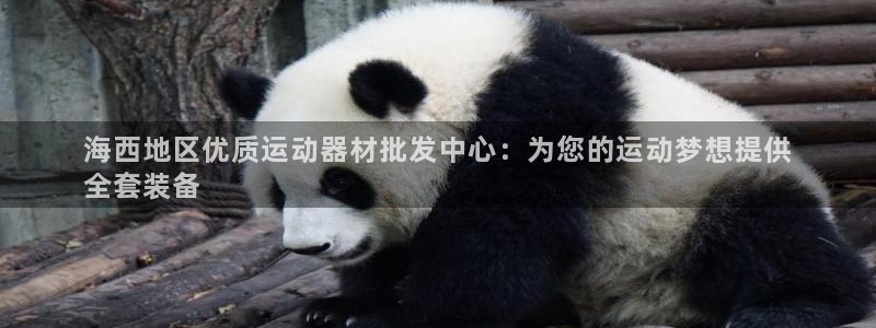 极悦平台注册用户名格式是什么：海西地区优质运动器材批
