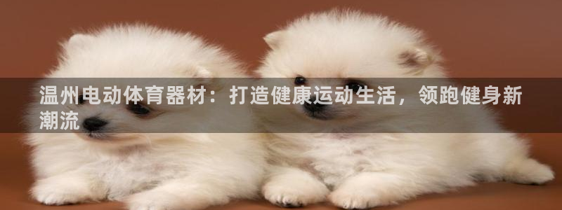 极悦官网的登录方法有哪些：温州电动体育器材：打造健康