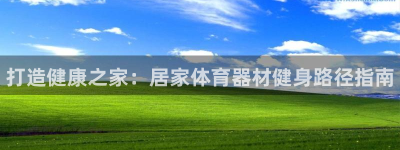 极悦平台官方网站是什么软件：打造健康之家：居家体育器