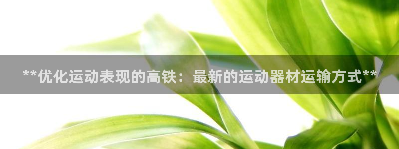 极悦平台是什么公司：**优化运动表现的高铁：最新的运