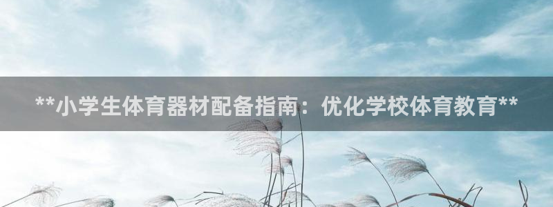 极悦平台官网入口登录：**小学生体育器材配备指南：优