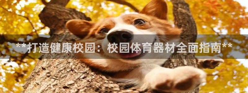 极悦娱乐股东