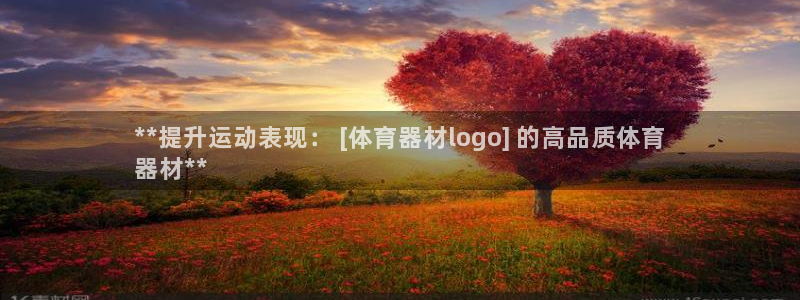 极悦官网旗舰店：**提升运动表现： [体育器材log
