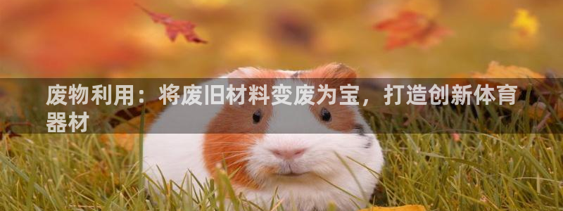 极悦平台登录入口注册：废物利用：将废旧材料变废为宝，