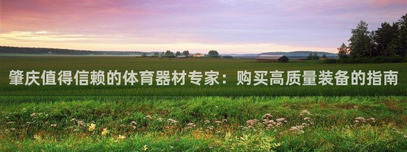 极悦娱乐是资金盘吗：肇庆值得信赖的体育器材专家：购买