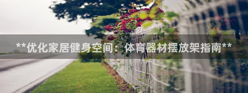 极悦娱乐官网下载安装：**优化家居健身空间：体育器材