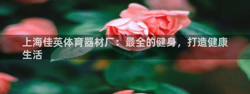 加盟极悦教育：上海佳英体育器材厂：最全的健身，打造健