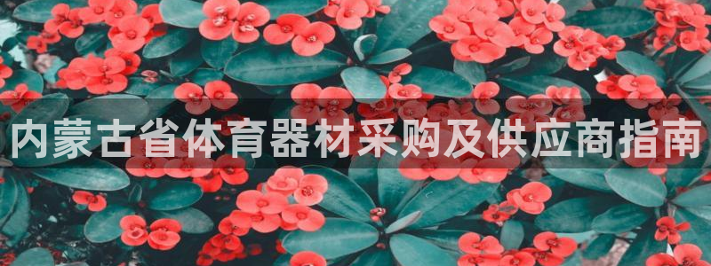 加盟极悦教育：内蒙古省体育器材采购及供应商指南
