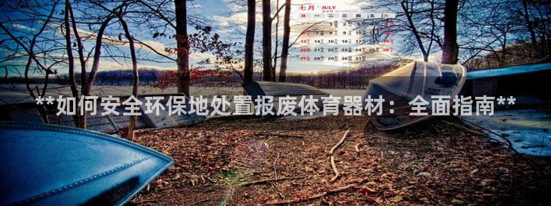 极悦平台注册登录失败：**如何安全环保地处置报废体育