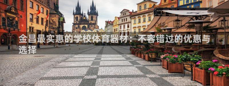 极悦平台使用教程图片：金昌最实惠的学校体育器材：不容
