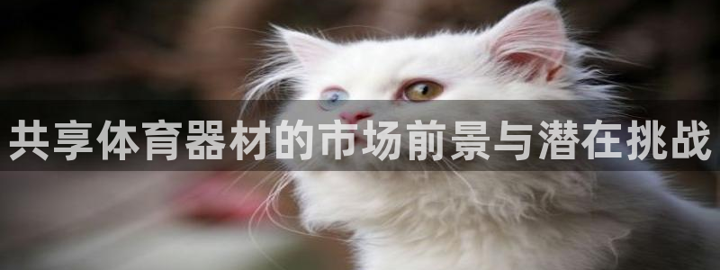 极悦平台官方网址