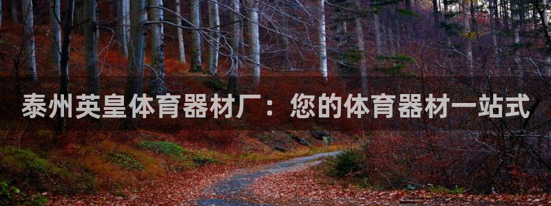 极悦娱乐官网客服联系方式是什么