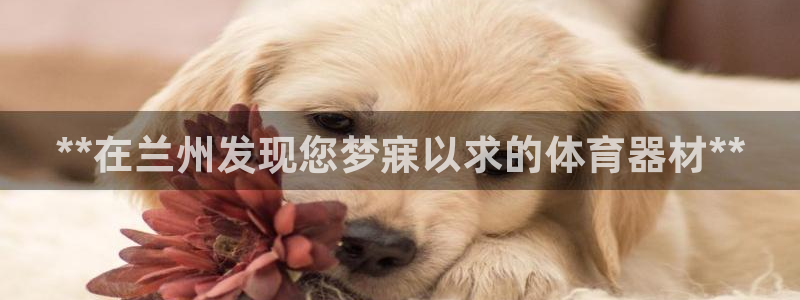极悦娱乐公司最新招聘信息官网：**在兰州发现您梦寐以