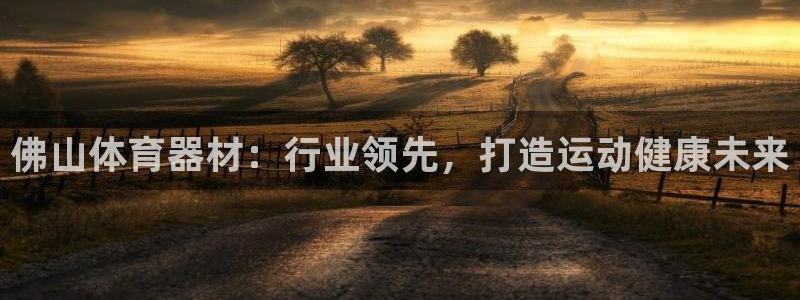 极悦平台官网登录入口网址查询：佛山体育器材：行业领先