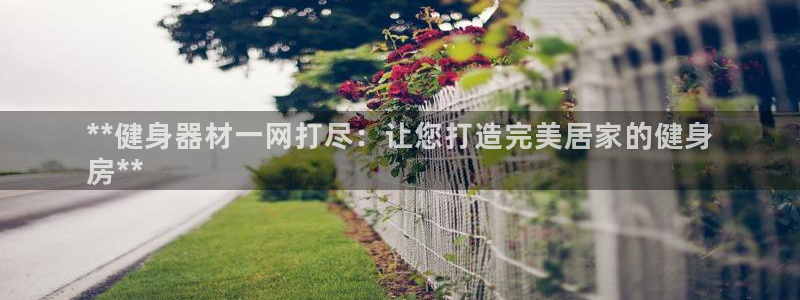 极悦注册：**健身器材一网打尽：让您打造完美居家的健