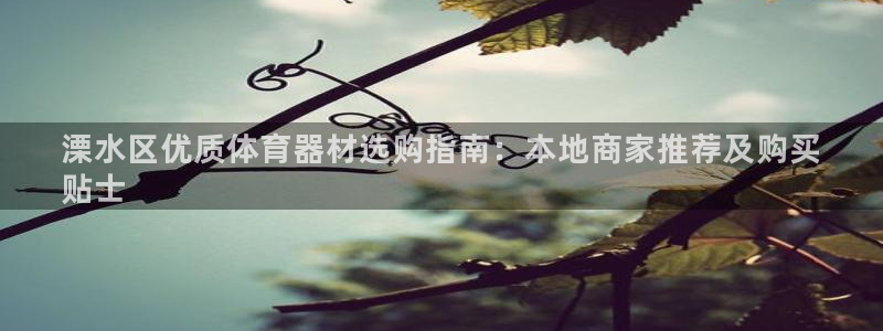 极悦娱乐官网下载app：溧水区优质体育器材选购指南：