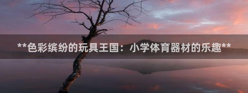 极悦平台客服投诉电话是多少号：**色彩缤纷的玩具王国