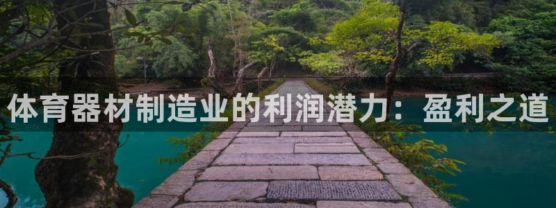 极悦平台注册失败如何解决呢：体育器材制造业的利润潜力