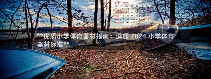 极悦娱乐最新版本更新内容介绍：**优质小学体育器材指