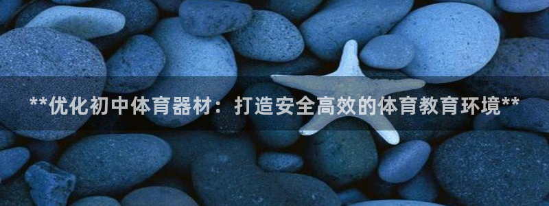 极悦娱乐的背景和历史背景分析：**优化初中体育器材：