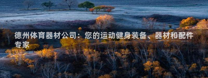 极悦平台官方网站入口下载：德州体育器材公司：您的运动
