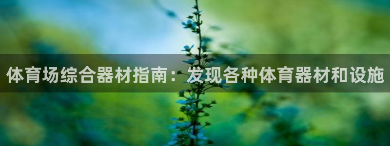 极悦平台用户评价：体育场综合器材指南：发现各种体育器