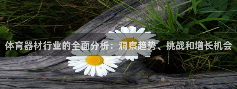 极悦平台官方网站登录入口：体育器材行业的全面分析：洞