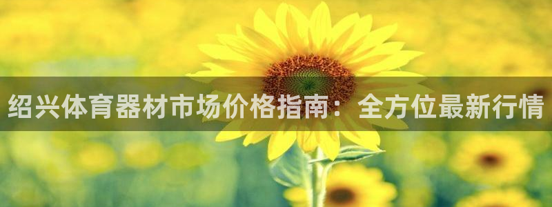 极悦平台注册资金多少亿：绍兴体育器材市场价格指南：全