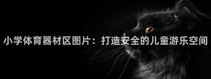 极悦平台使用注意事项是什么：小学体育器材区图片：打造