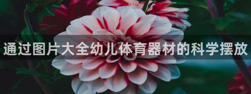 极悦娱乐官网app下载安装：通过图片大全幼儿体育器材